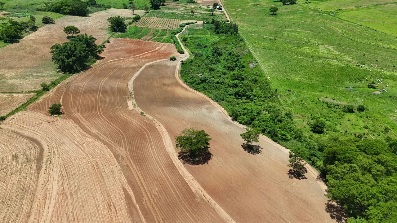 Sitio 25 hectares - 10,3 alq - Foto 3