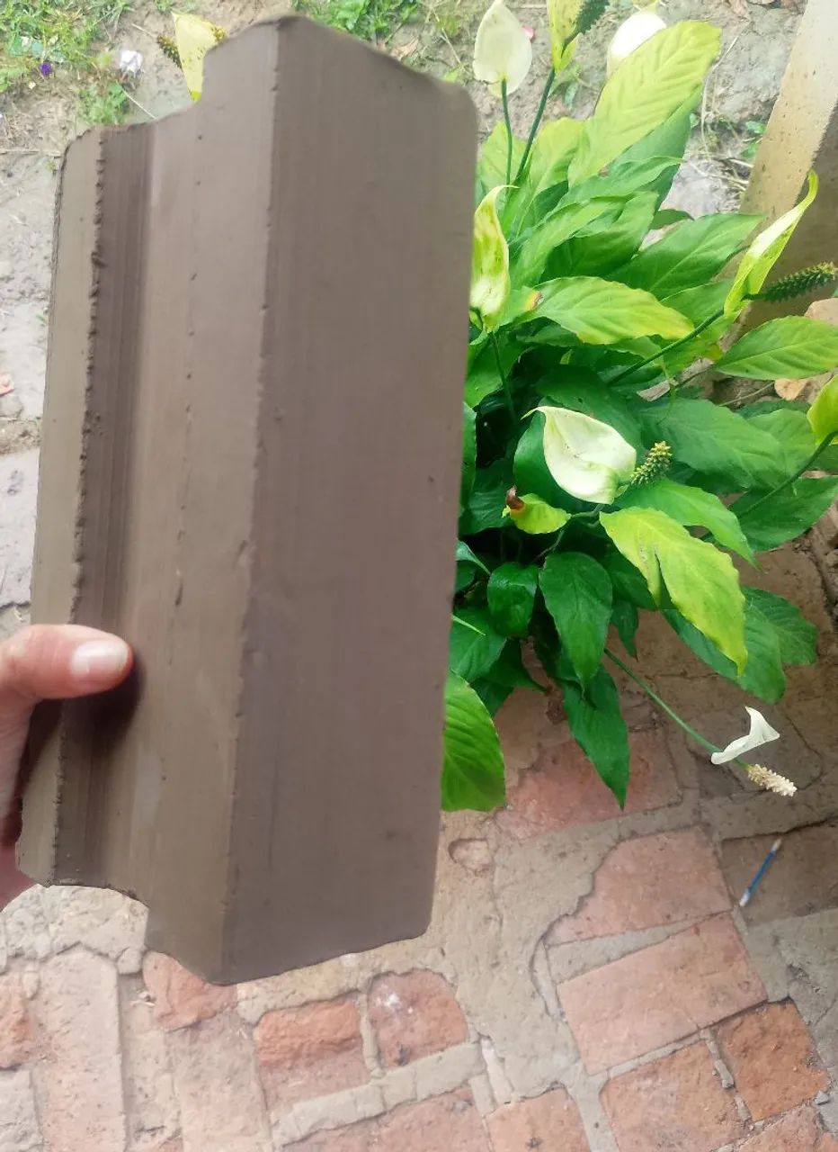 ? Tijolo64840790508290122