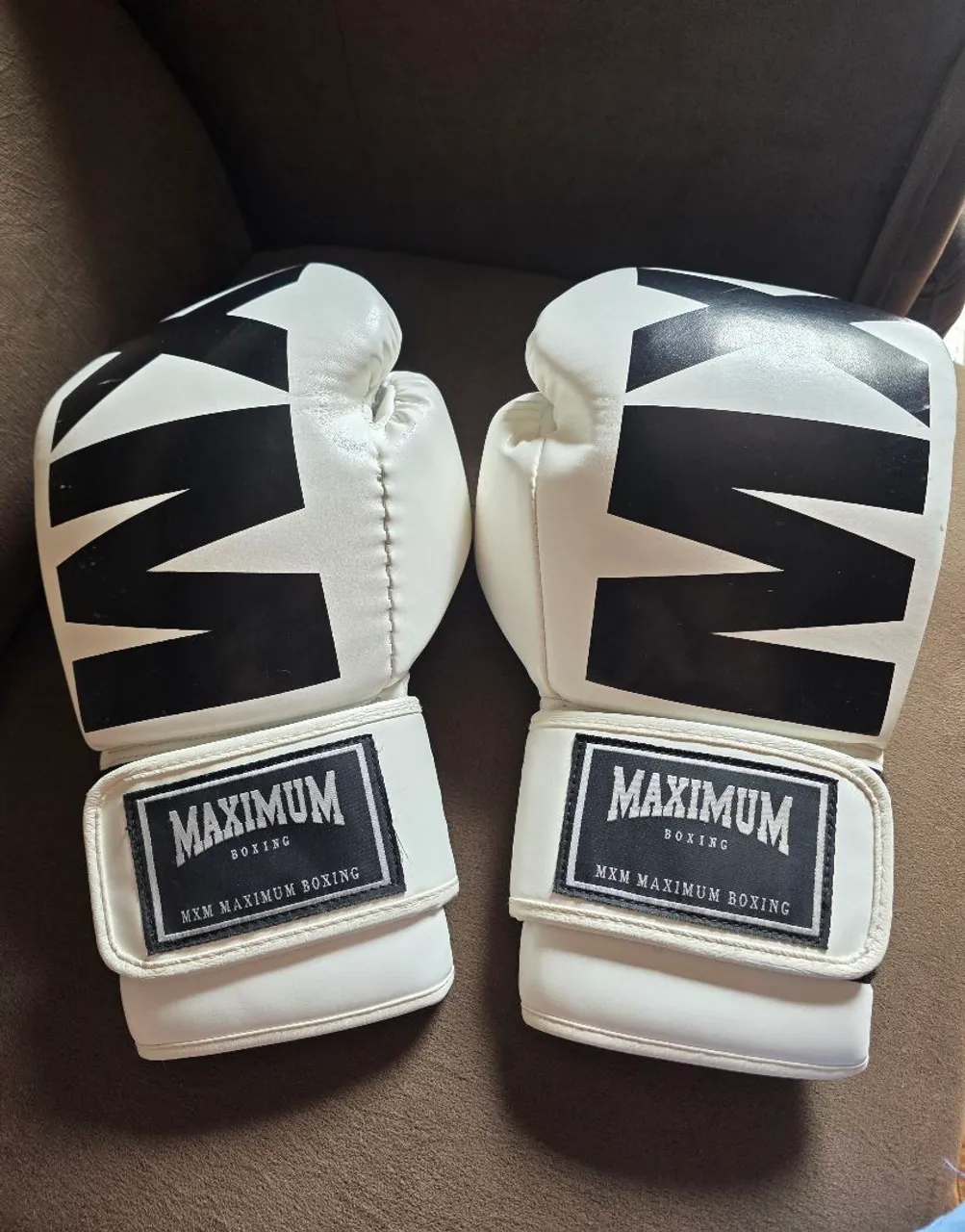 Luvas de Boxe Maximum 16oz