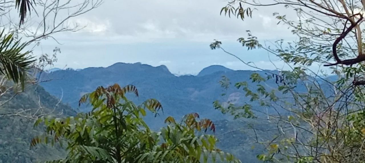 Foto - Domingos Martins - 