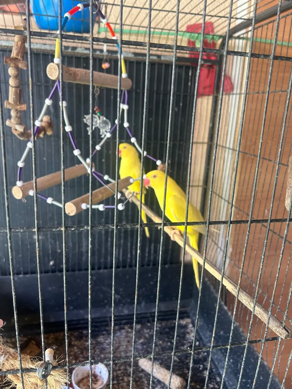 Gaiola grande amarela