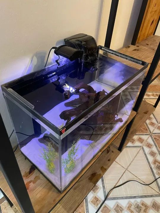 Aquário de água Doce - Foto 2