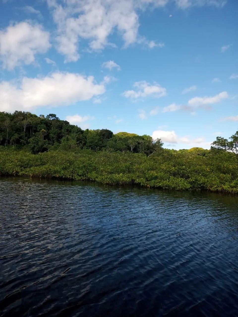 ILHA A VENDA EM CAMAMUM BAHIA  - Foto 4