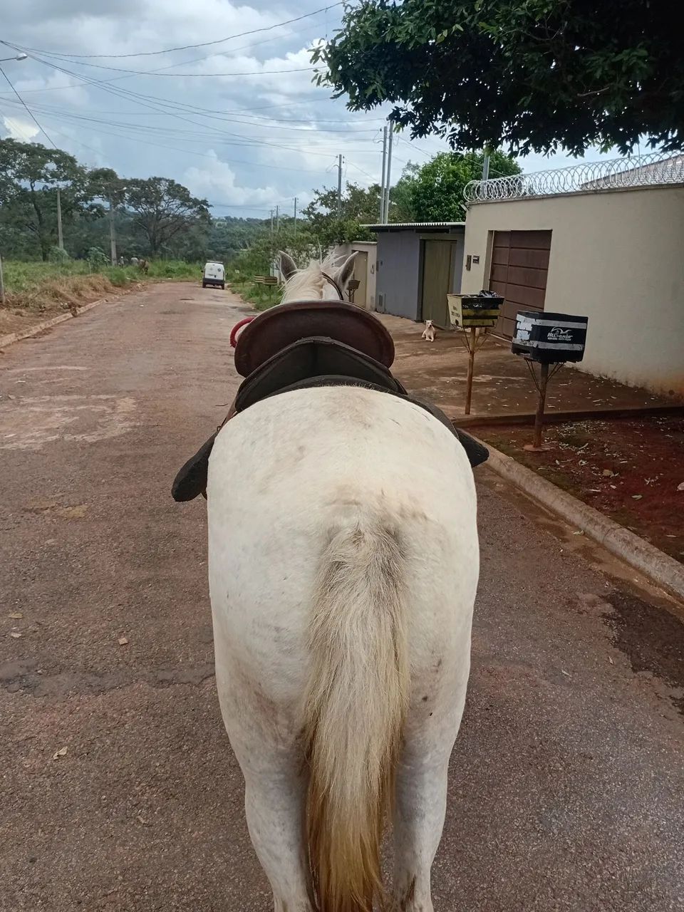Manga larga marcha picada - Foto 2