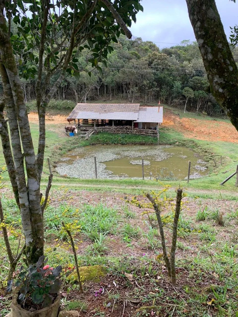 Sítio em Águas Mornas - Foto 5