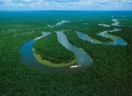 Vendo área 154 mil hectares no Estado do Amazonas.
