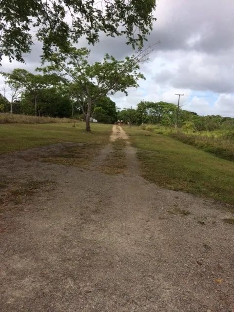 Melhor Área 11 Hectares Industrial, 241m de Beira, Pista Guabiraba, Instalação Empresas - Foto 2