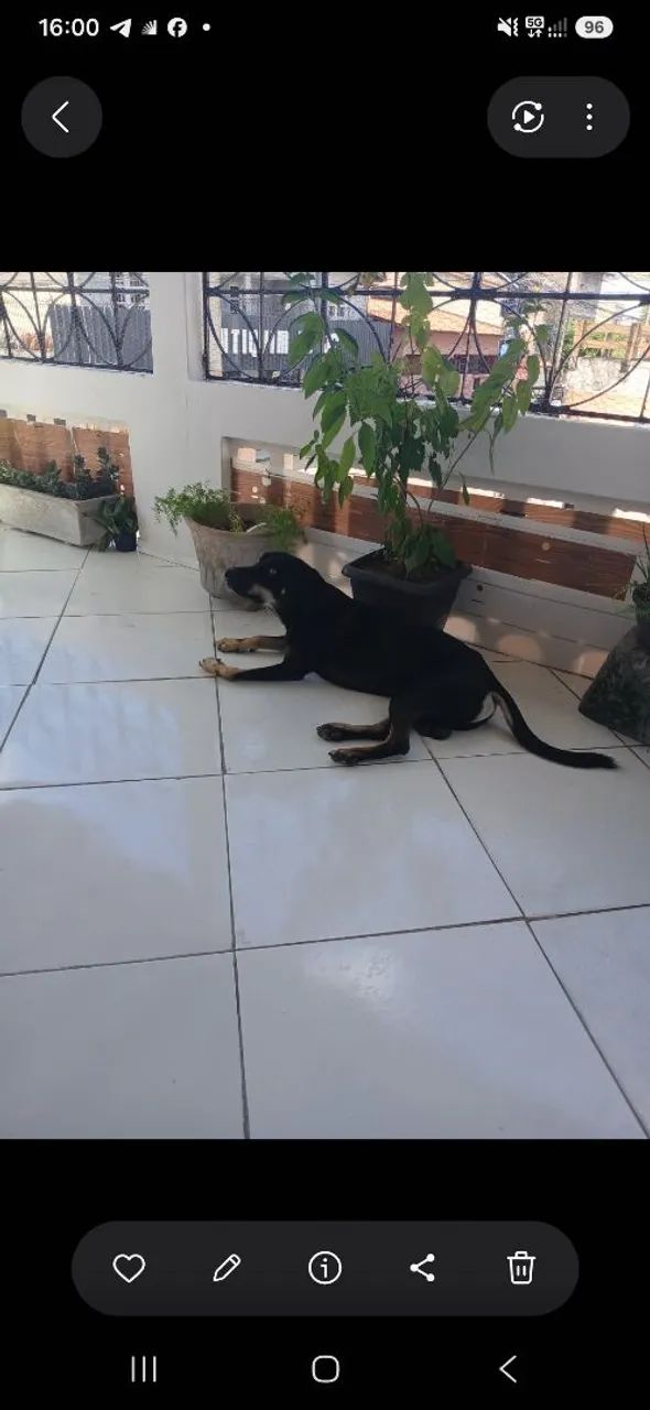 Doação. 