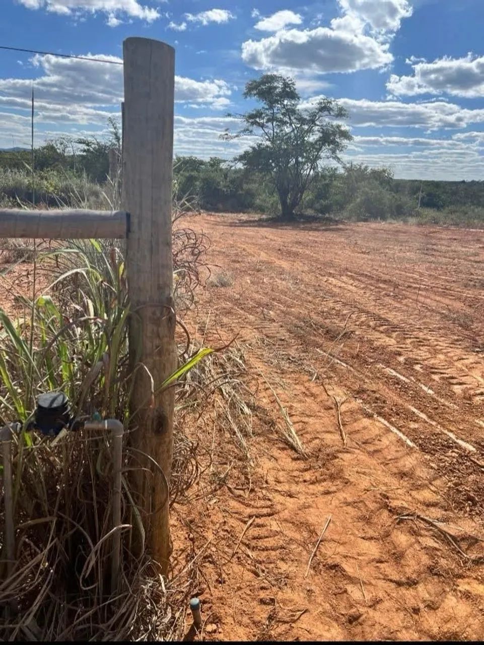 Oportunidade chácara 1000m2  - Foto 3