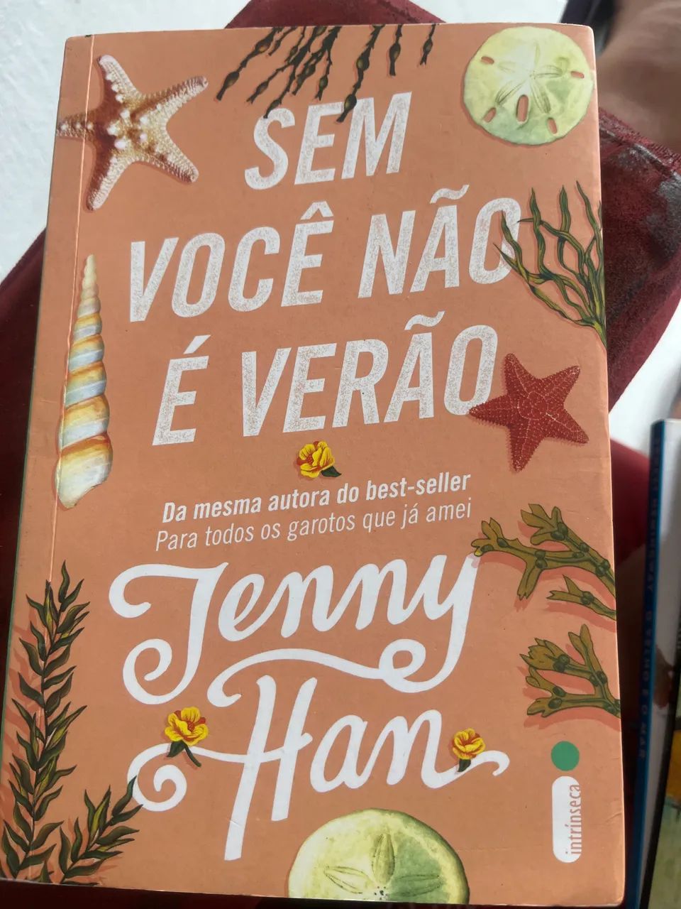 Livro Sem Você não é verao