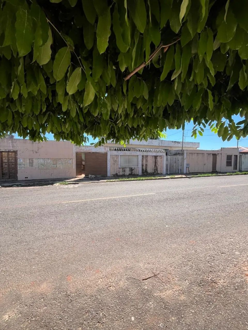 Imóvel de esquina vila Alba - Foto 3