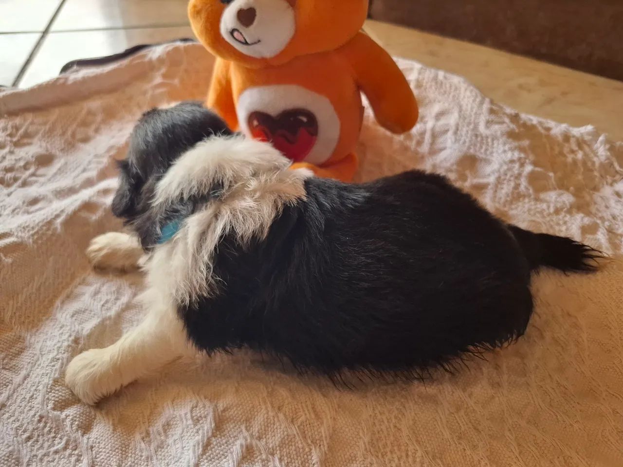 Disponível  - Foto 2