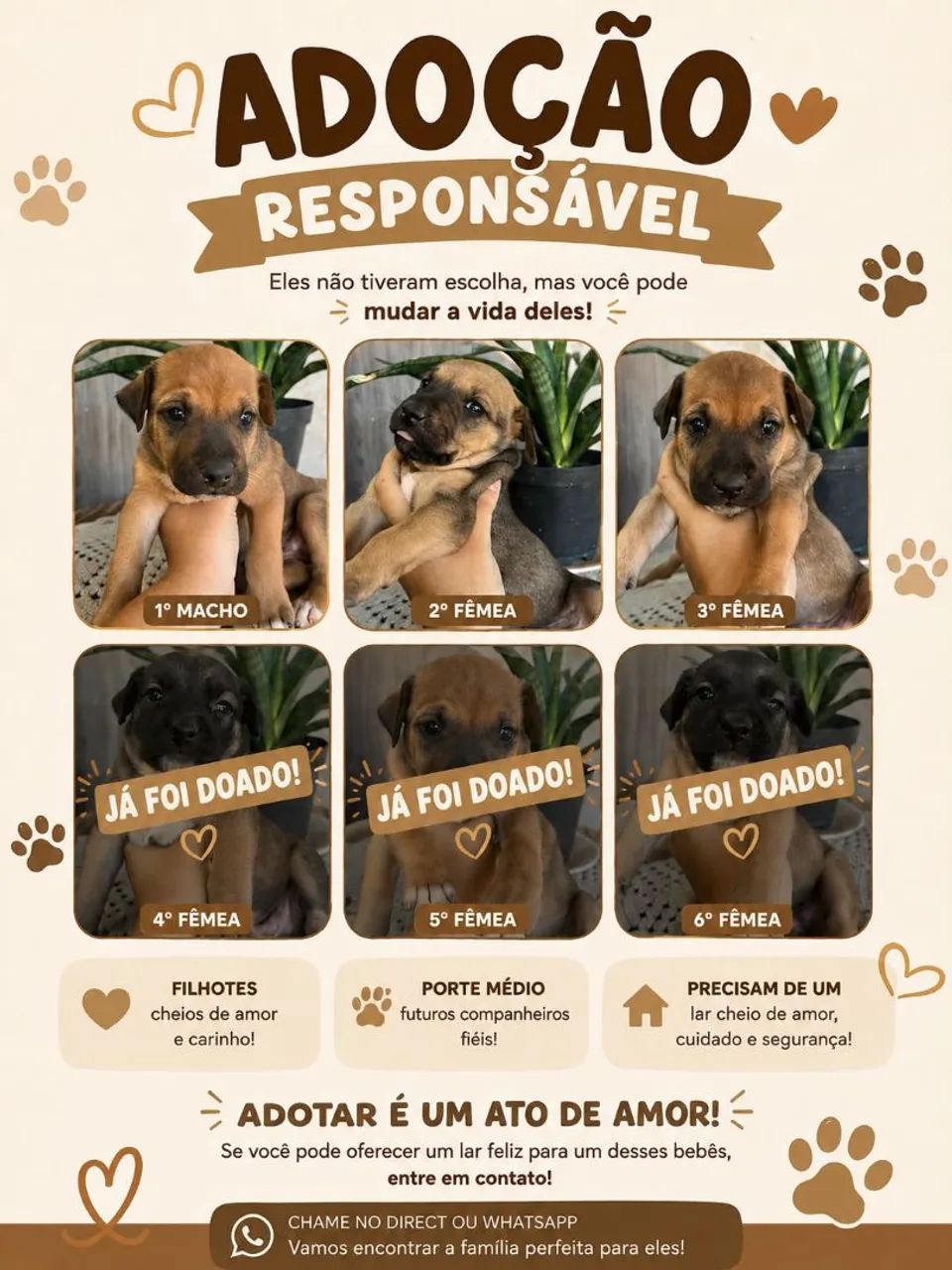 Adoção Responsável!!