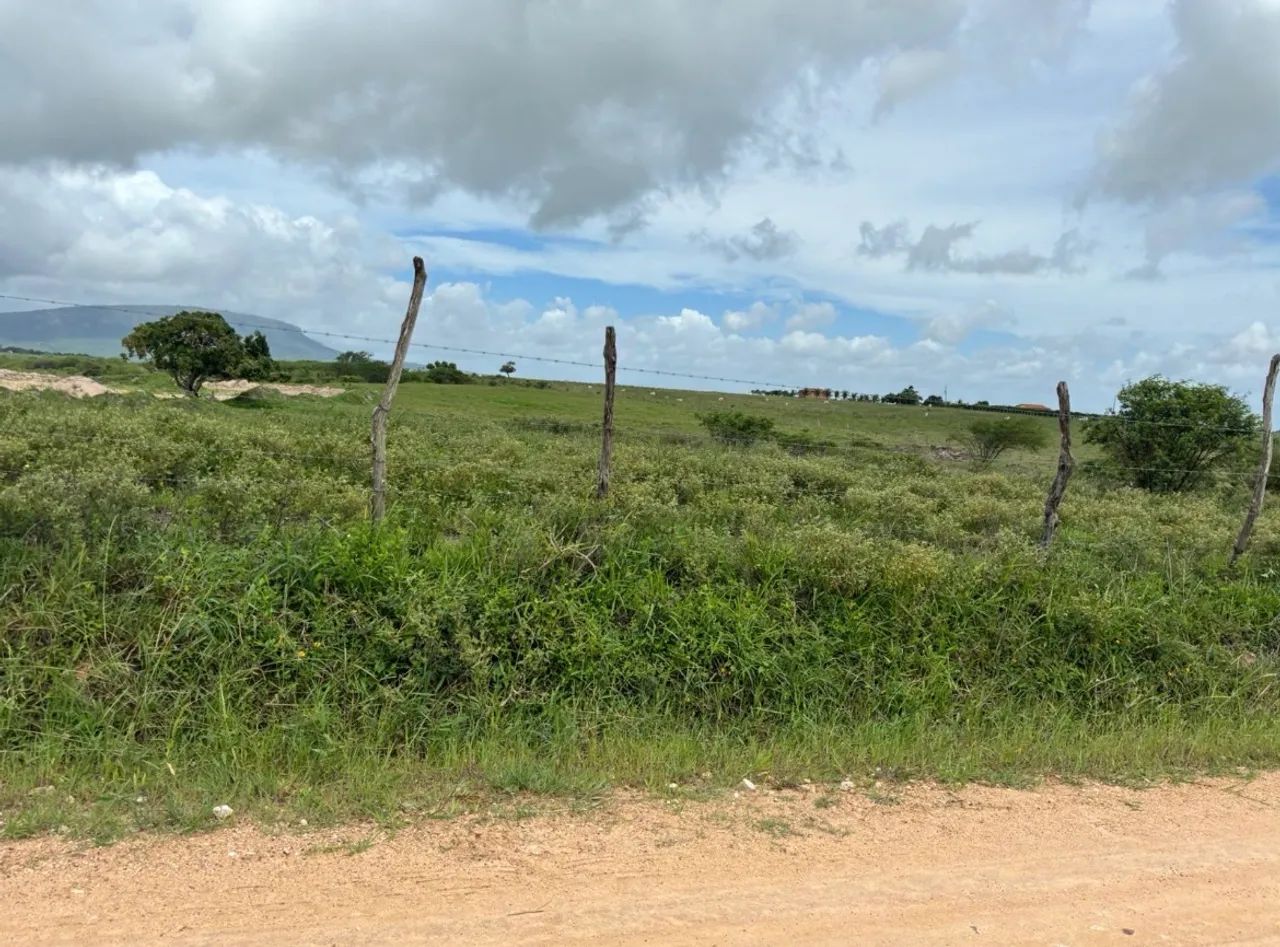 Vendo terreno no povoado Malhada Velha - Foto 5