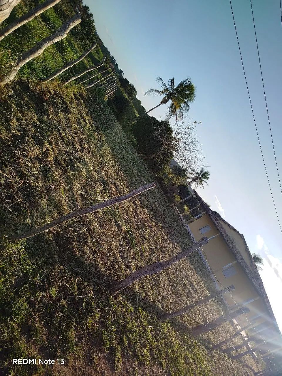 Serviços de roçagem - Foto 2