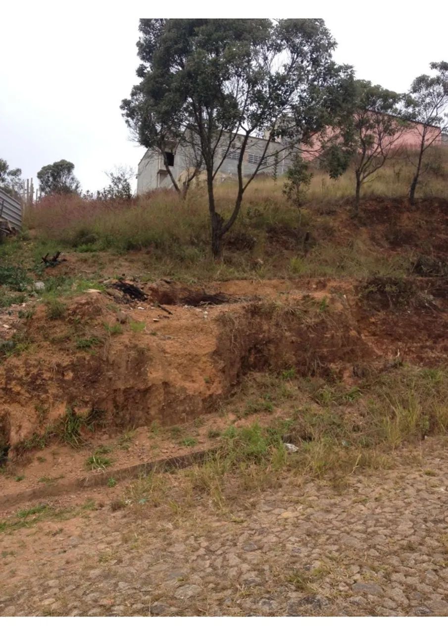 LOTE MONTE MÁRIO 310M²