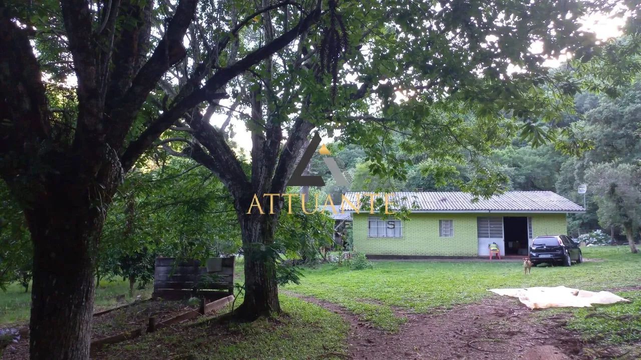 Propriedade Rural em Campestre da Serra - Foto 5