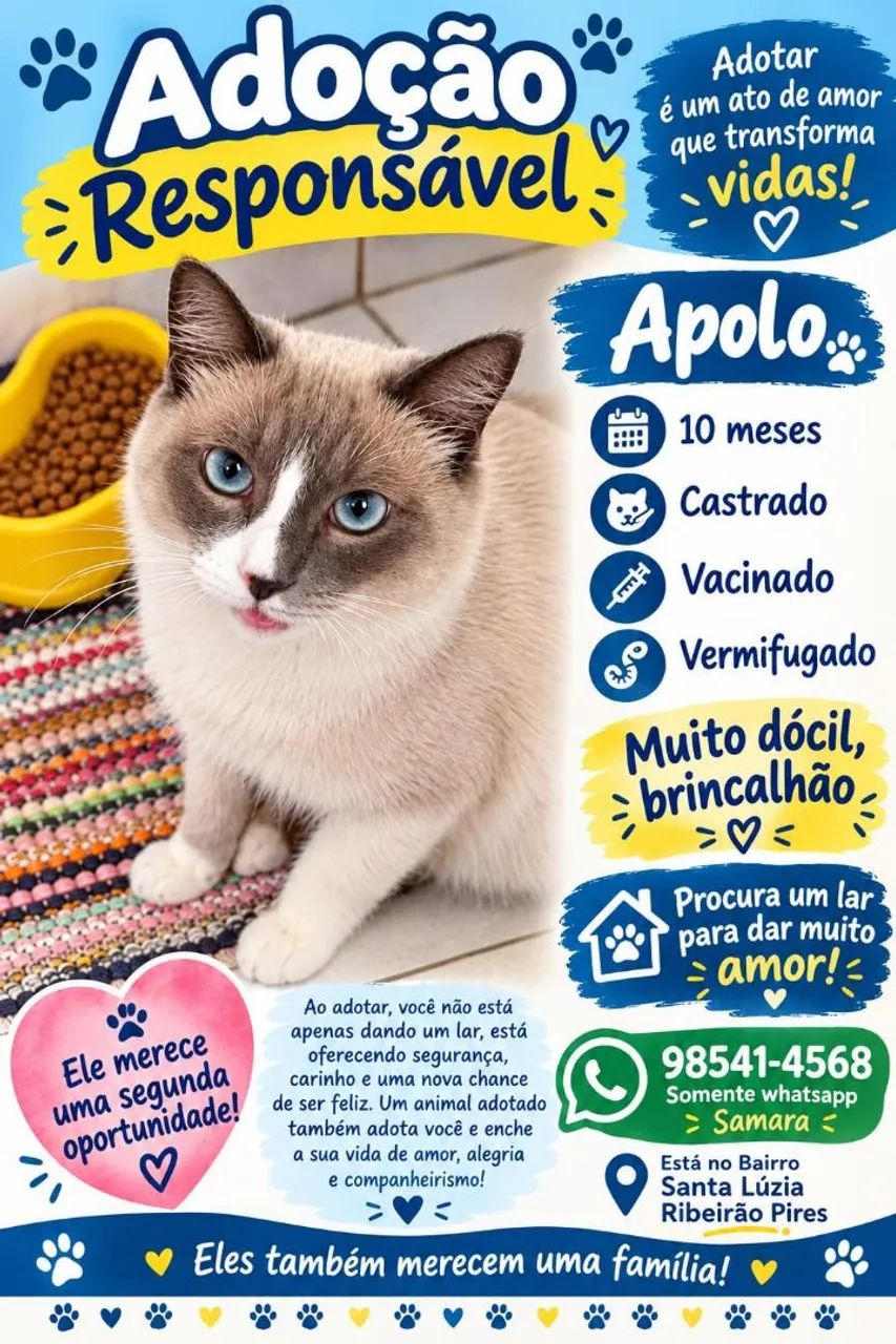 ?Gato para doar?