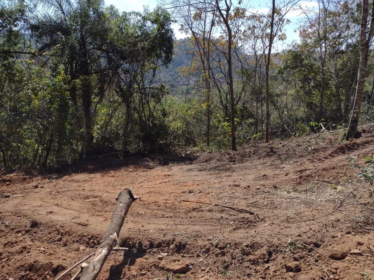 Lote  - Foto 3