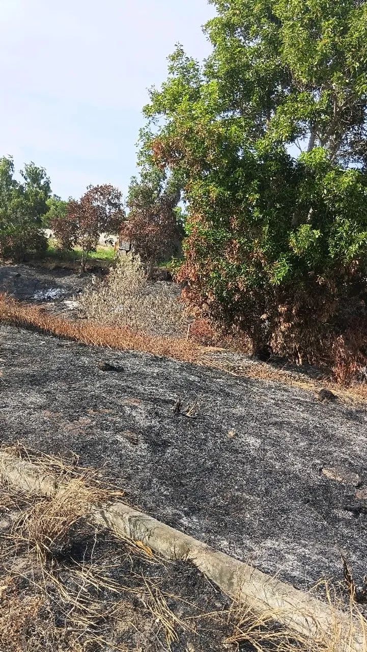Terreno  lote  - Foto 3