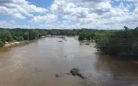 FAZENDA: Fazenda de 310 hectares a venda na beira do rio em Chapadinha-MA - Foto 9