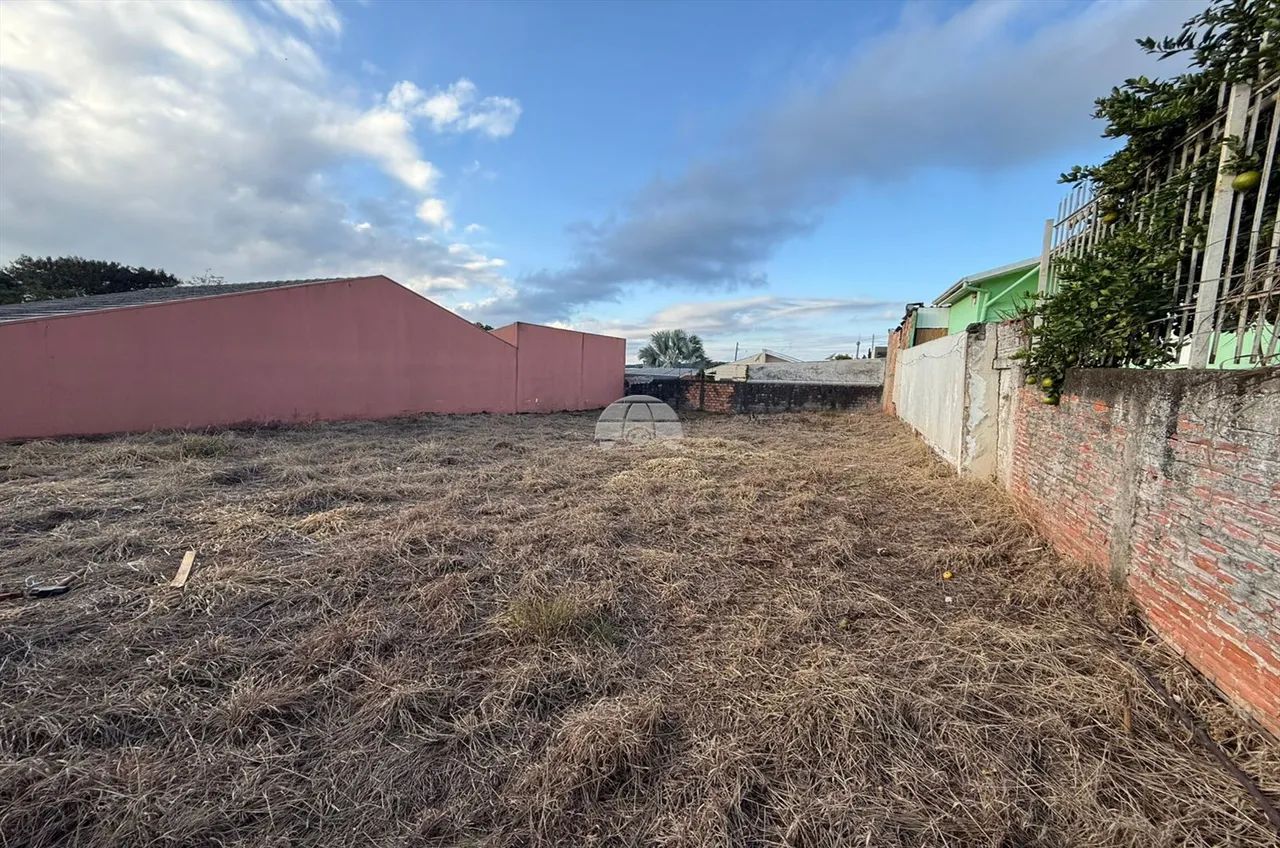 Vendas Terreno Pato Branco PR - Foto 4