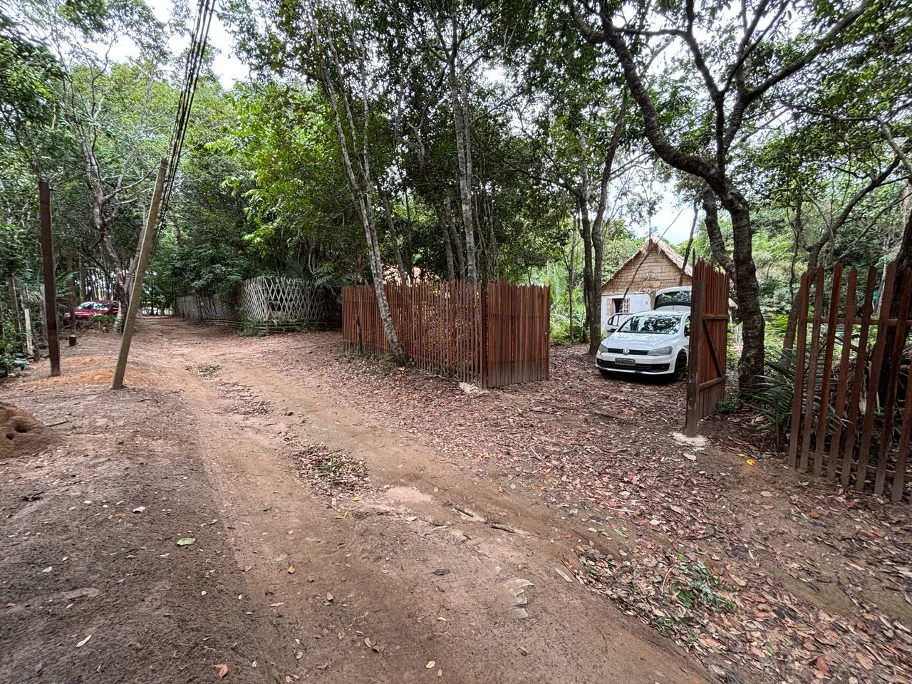 Foto - Santarém - Alter do Chão