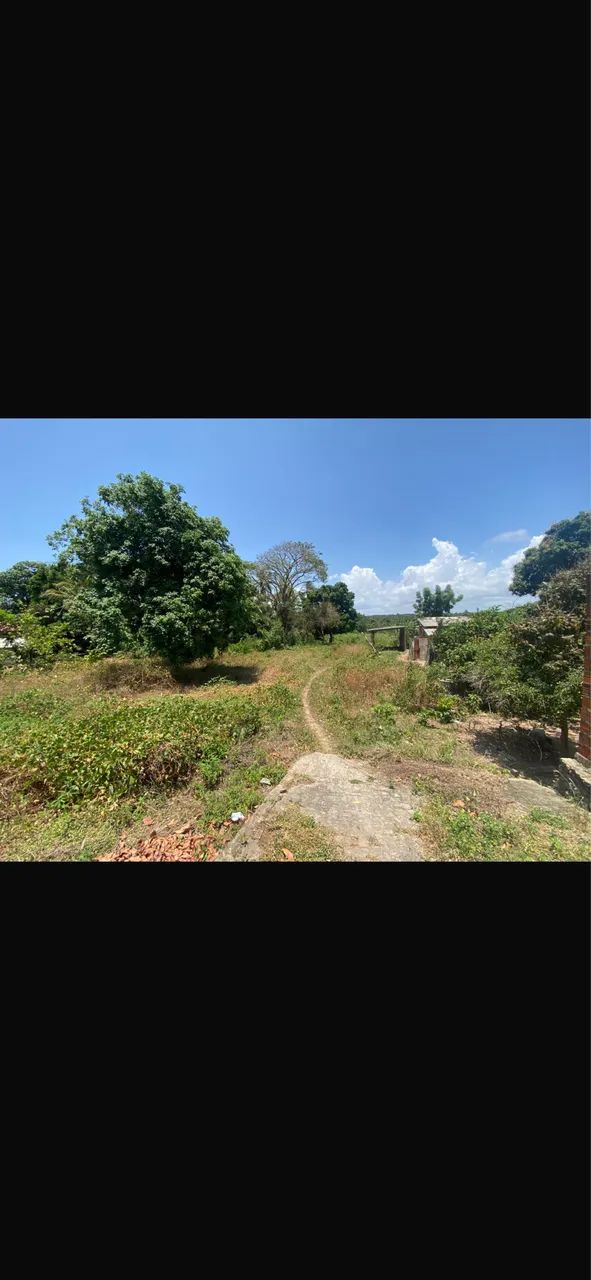 TERRENO NA RAPOSA  - Foto 2