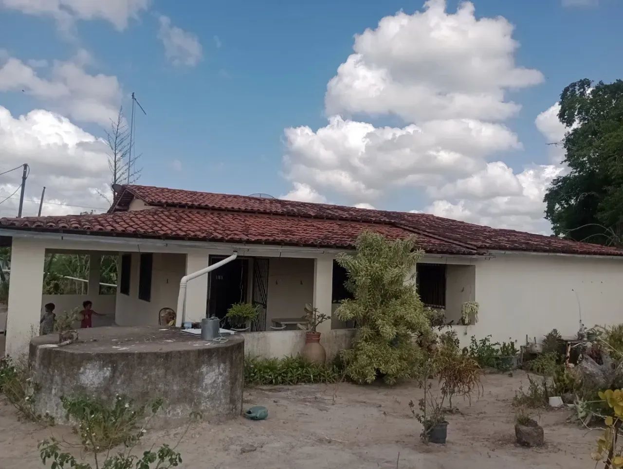 Lindo sítio em Passira - Foto 5