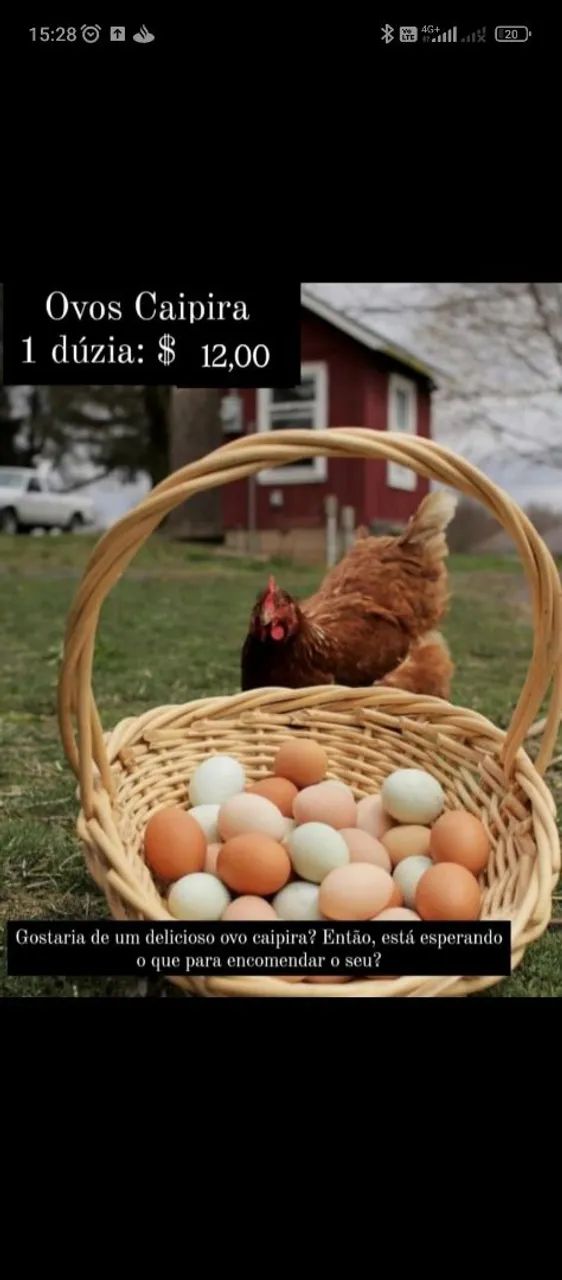Ovos caipiras 