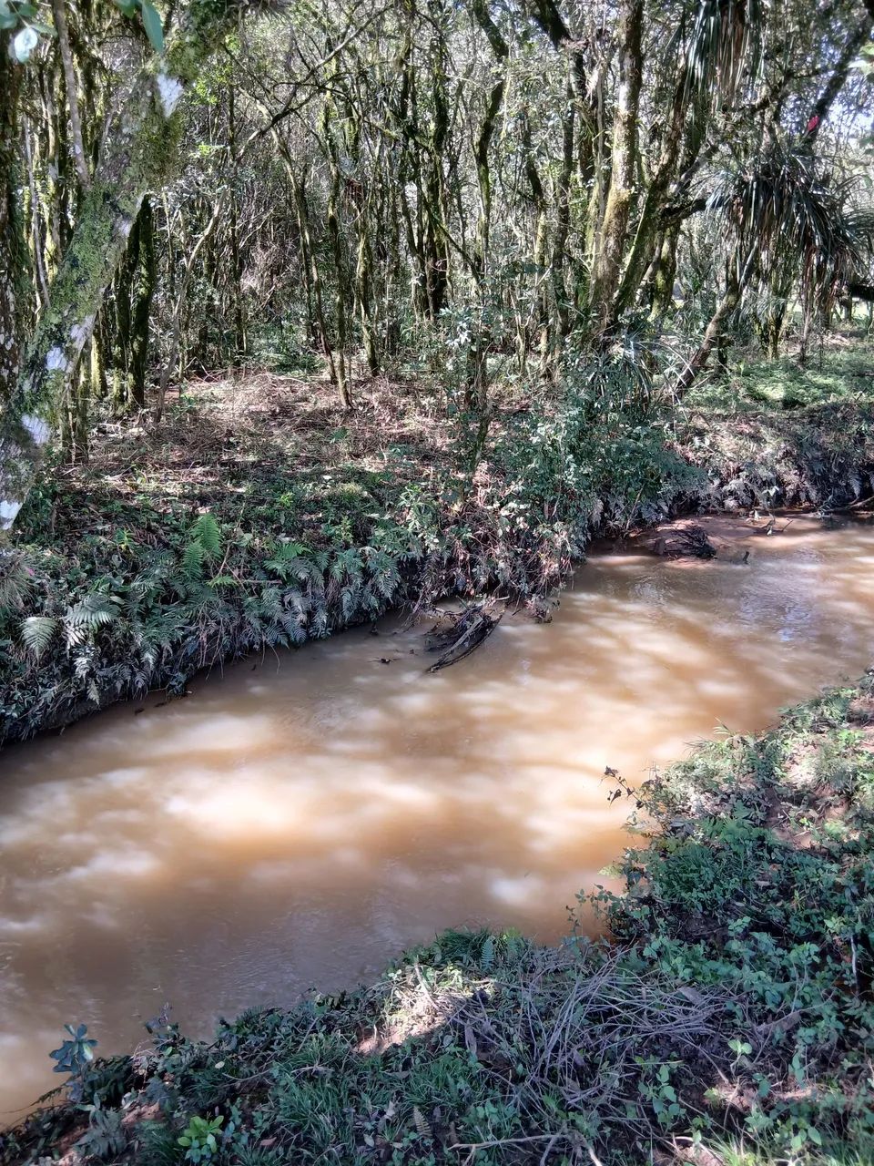Vendo chácara em Quitandinha  - Foto 5