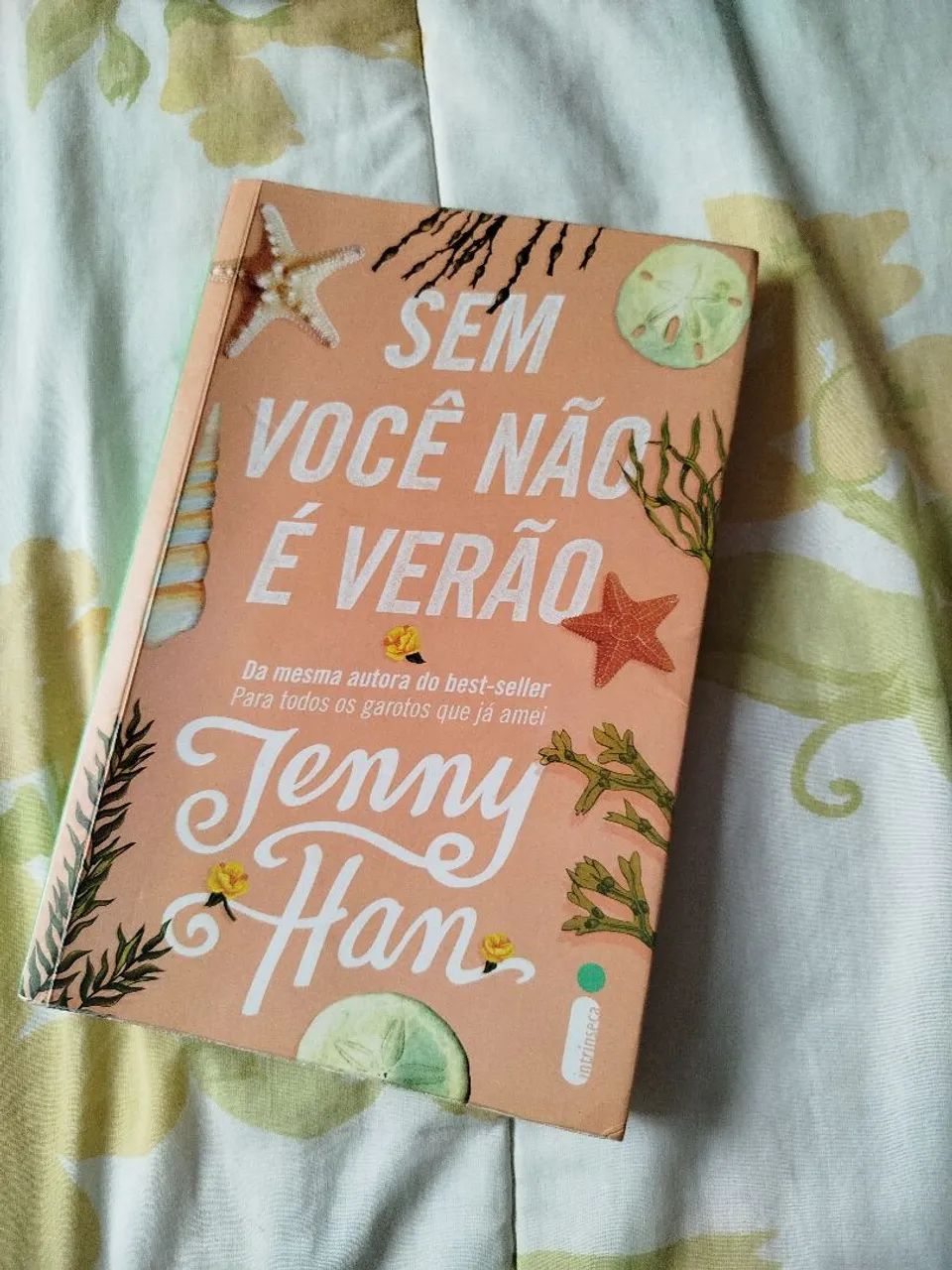 Sem você não é verão 