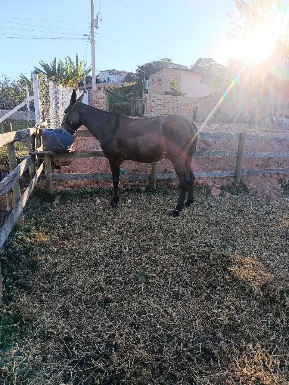 Vende se - Foto 4