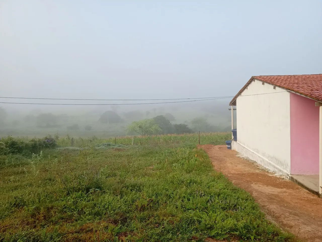 Charcara boa  - Foto 3
