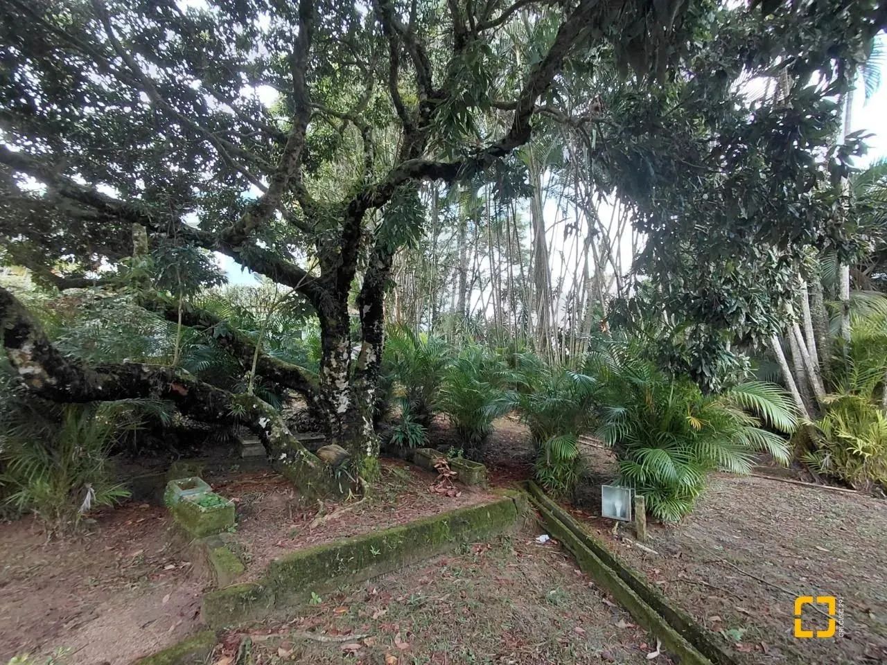 Terreno à venda, Saco Grande, com viabilidade para edificio, Florianópolis, SC - Foto 3