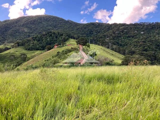 Belíssima Chácara de 5.000 m2 com platô de 3.500m2. Delfim Moreira MG - Foto 8