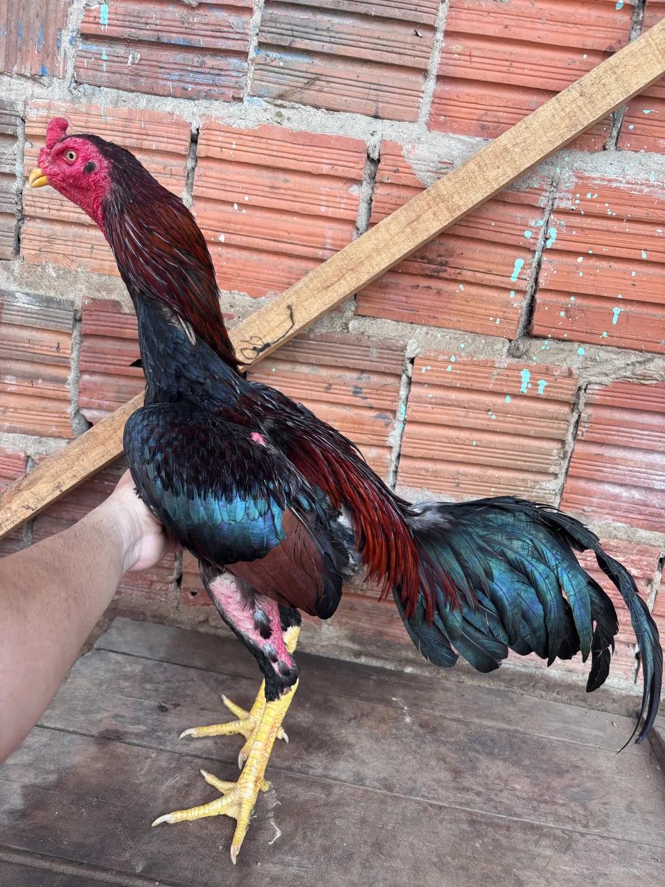 Frango indiano  - Foto 2