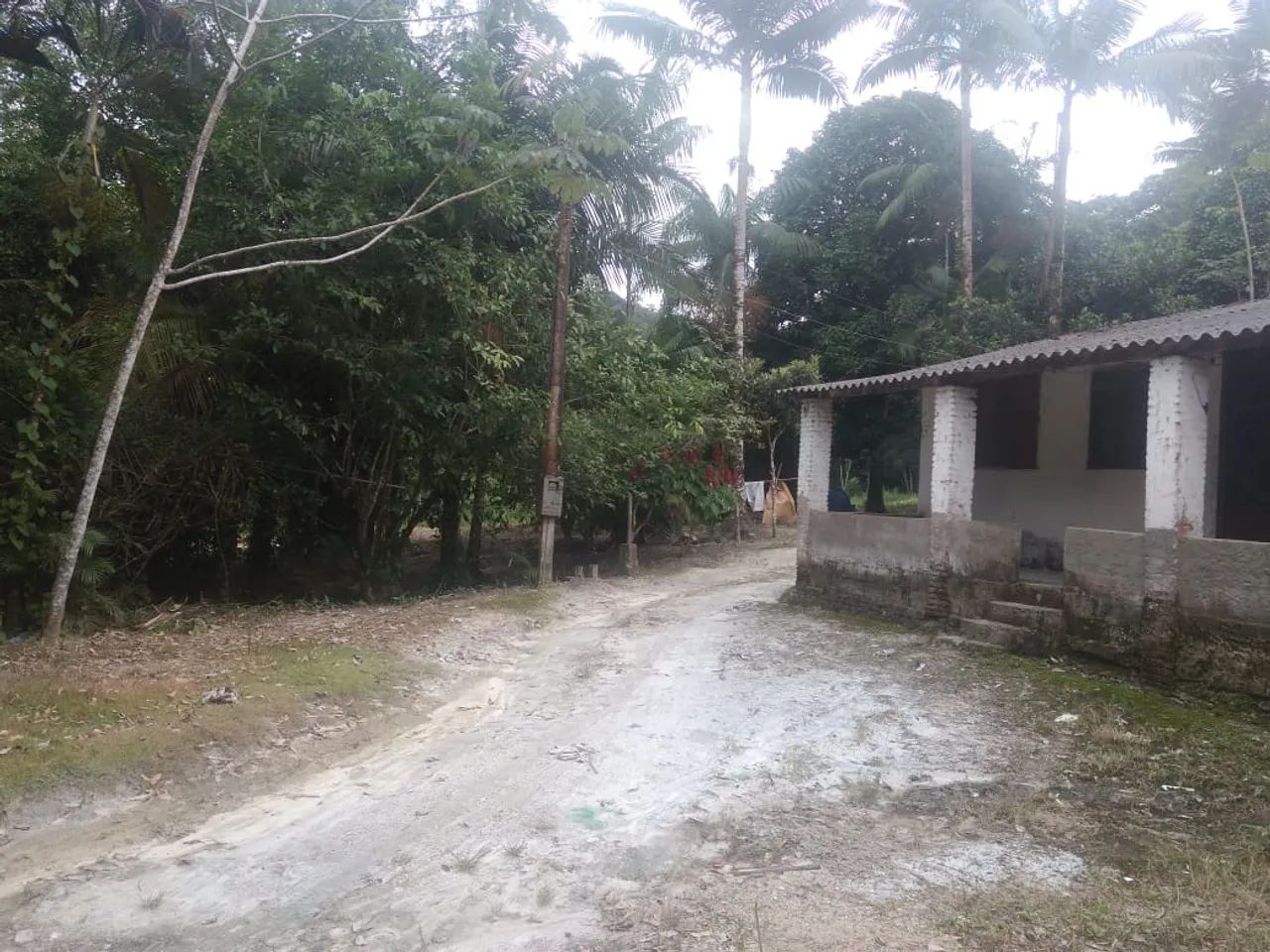 Vendo Sítio com 12 alqueires em Sete Barras SP - Foto 2
