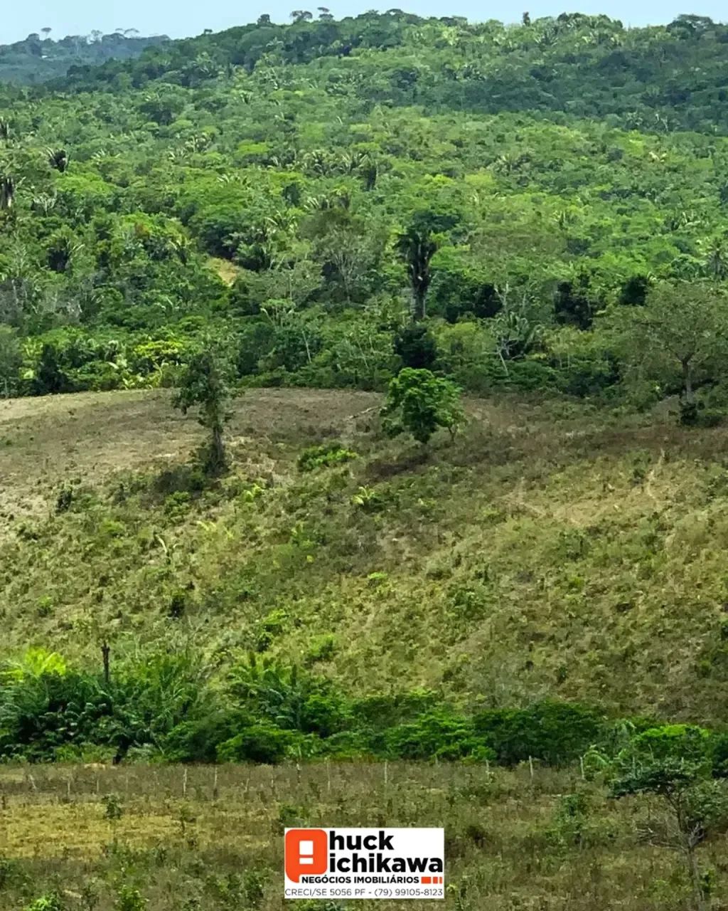 FAZENDA DE 1000 TAREFAS Umbaúba / Indiaroba - Foto 4