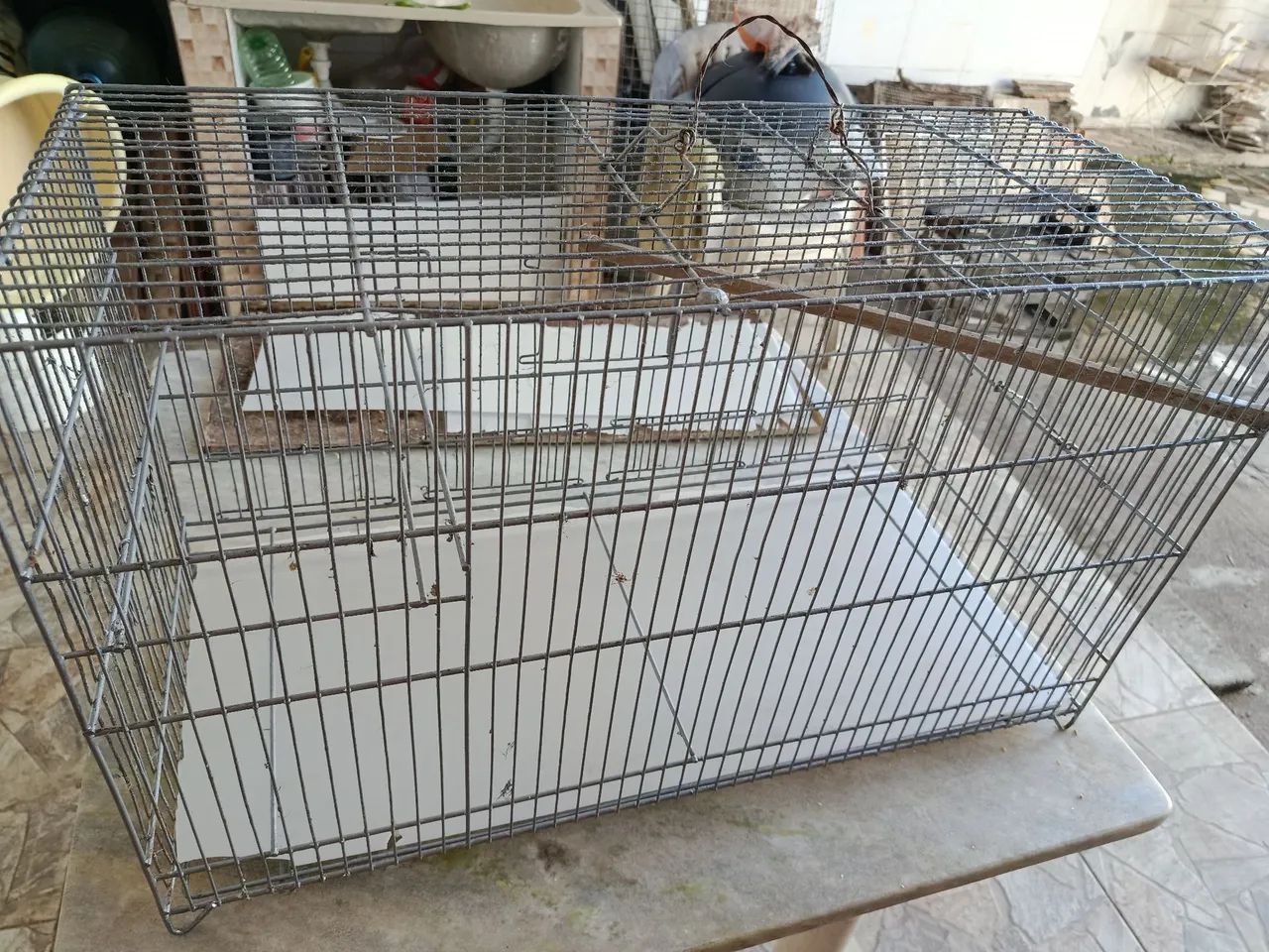 Gaiola  - Foto 4