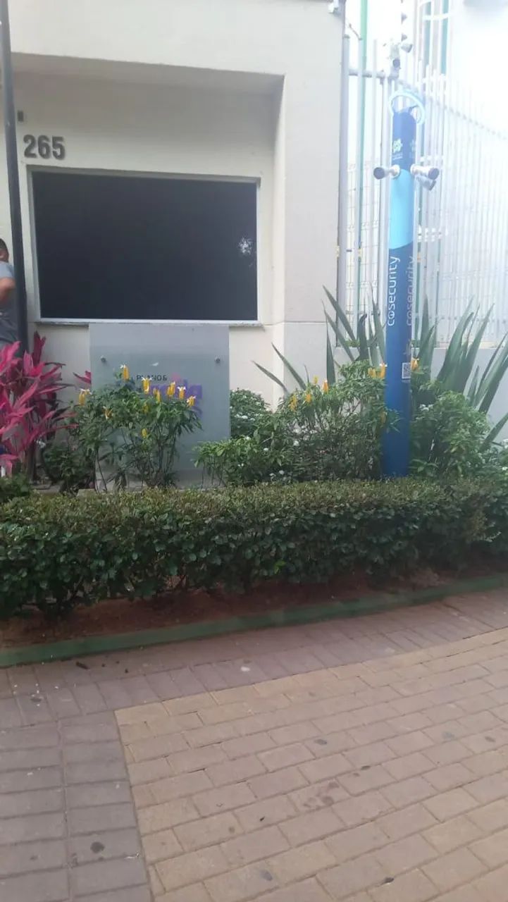 Foto - São Paulo - Parque Munhoz