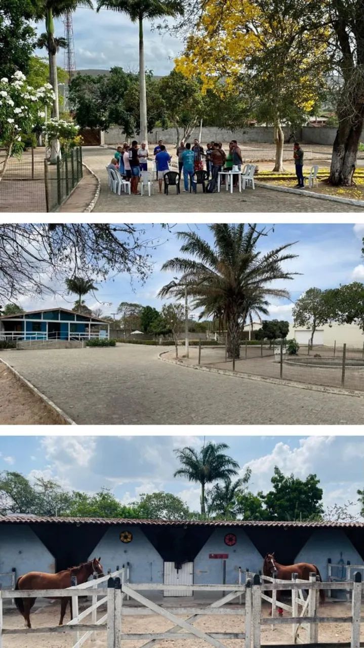 Emternaçoes  - Foto 2