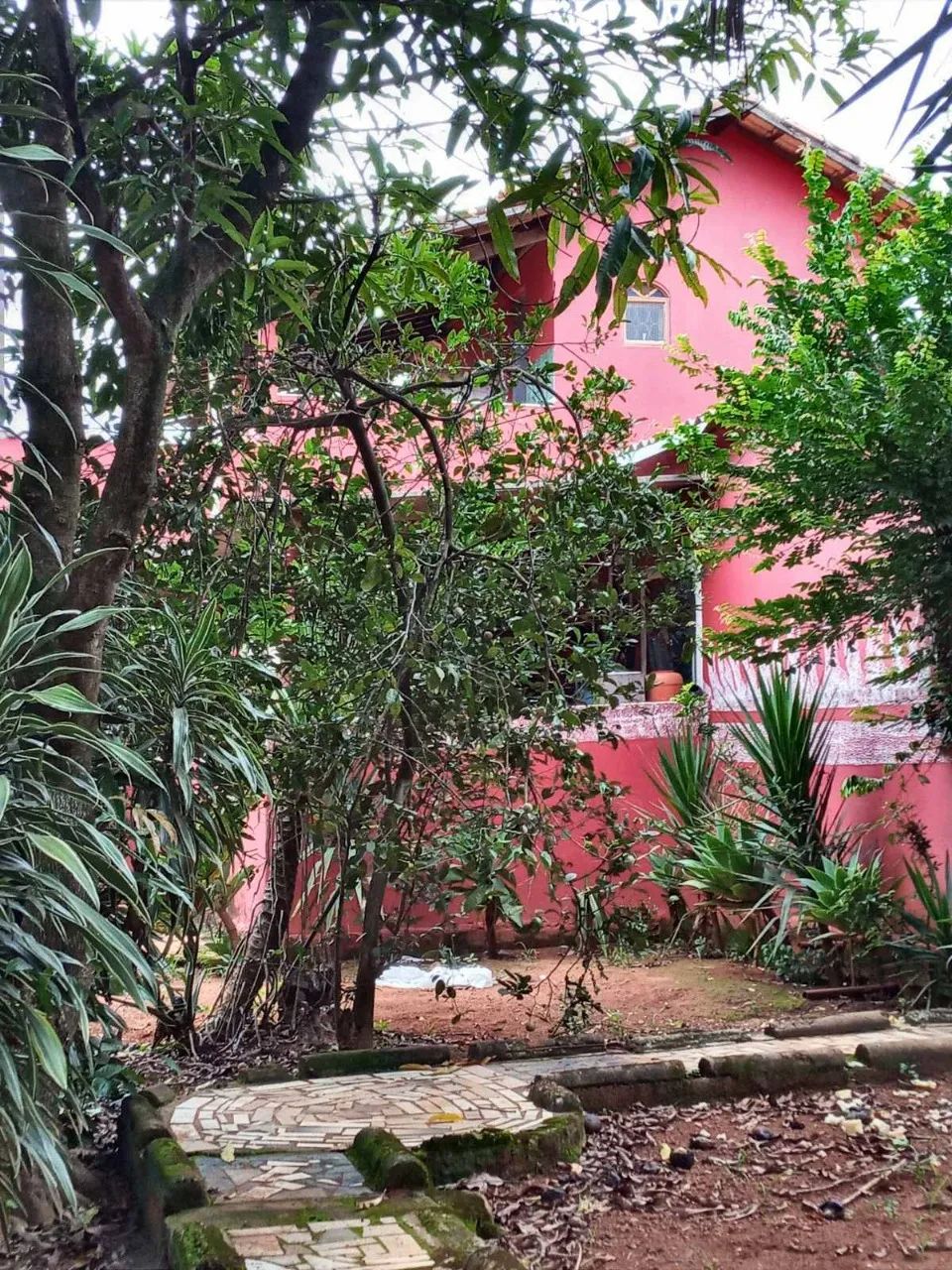 Fazenda / Sítios / Chácaras com 4 quartos à venda em Igarapé - Foto 3