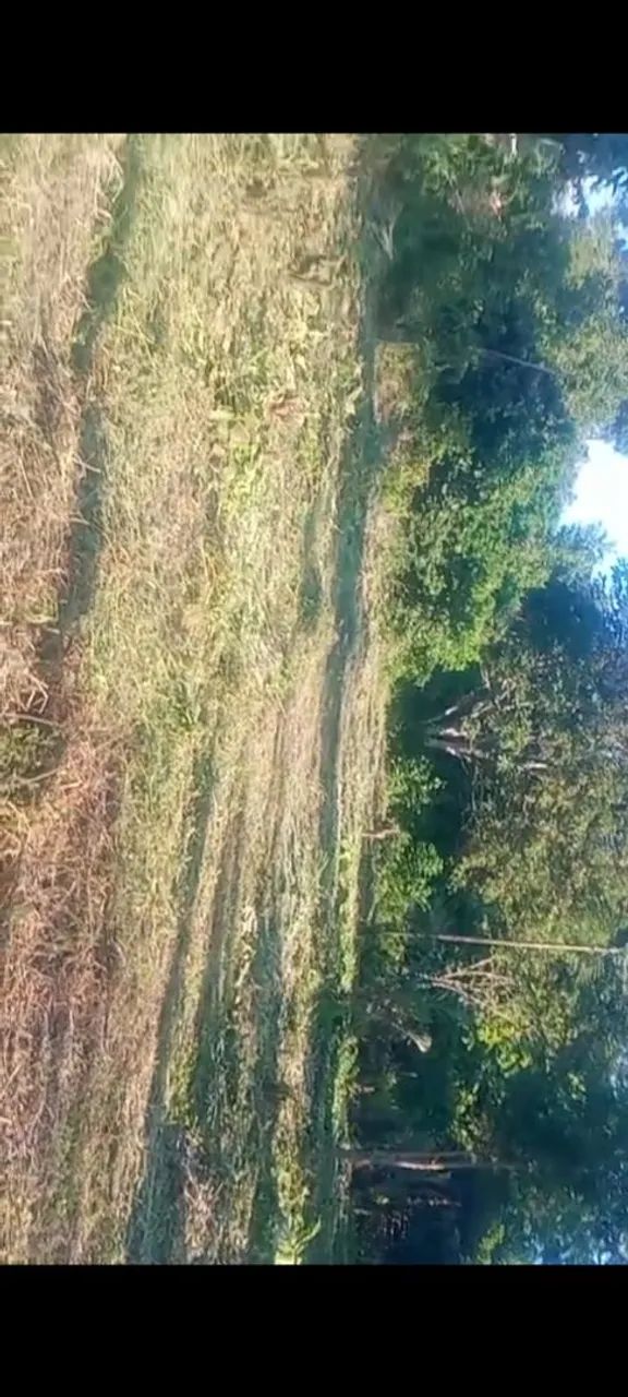 Terreno na ilha de Santana 