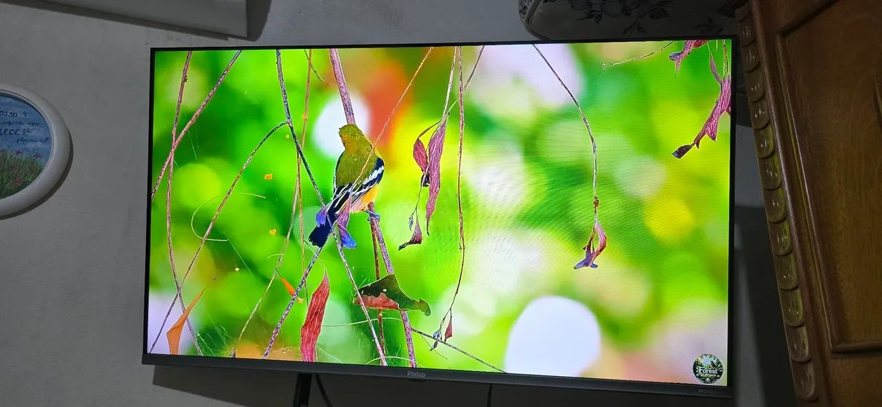 Tv Philco led 4k com nota  - Foto 5
