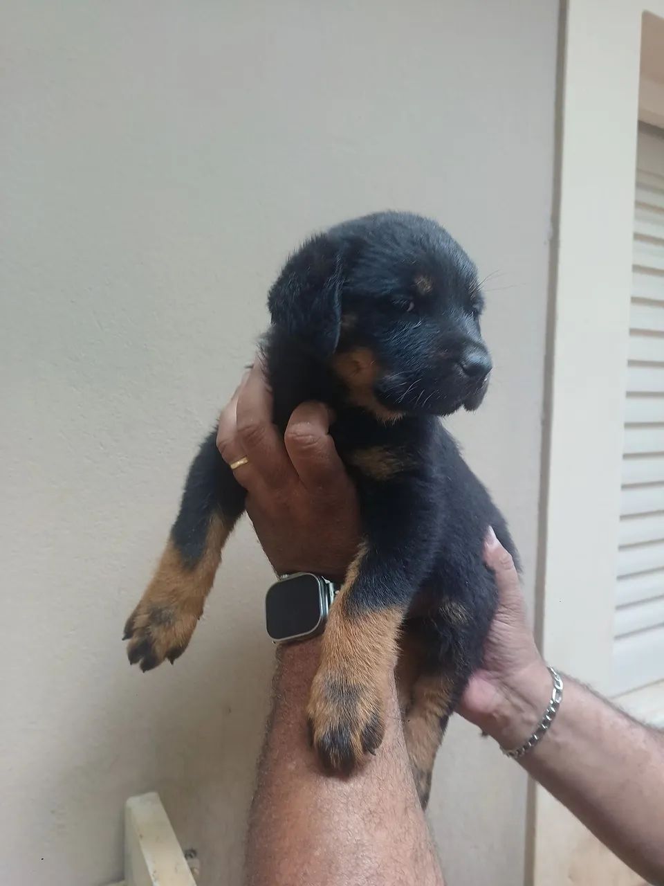 Ótimo para família 