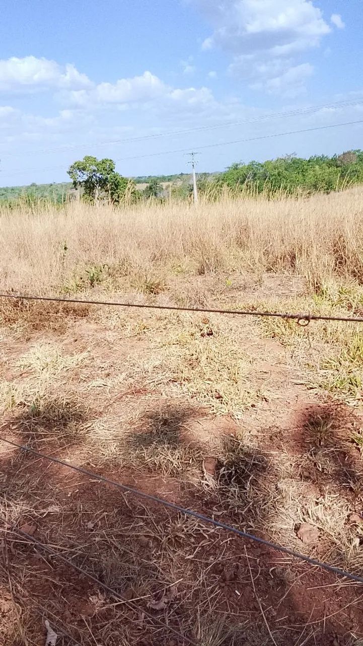Venda Chácaras - Foto 4