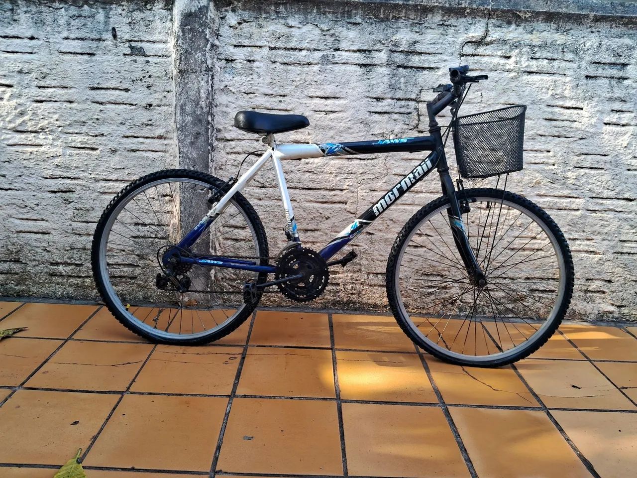 Bicicleta 