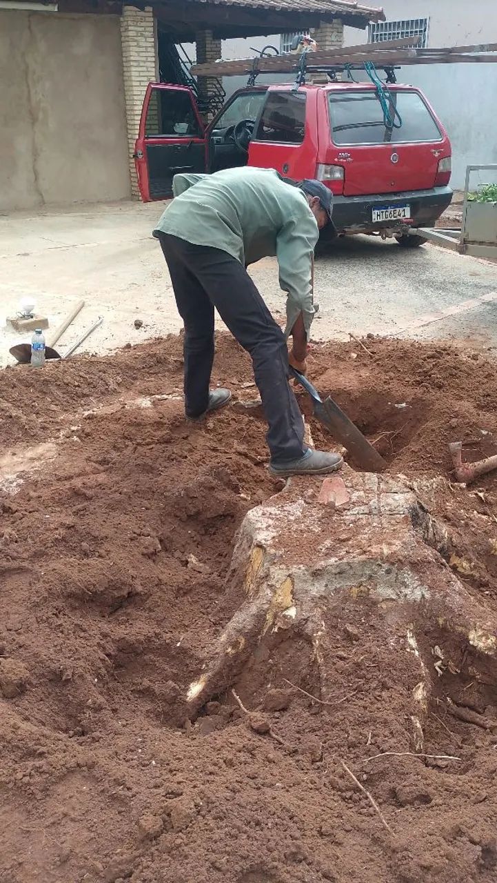 Poda de árvore limpeza de terreno  - Foto 5