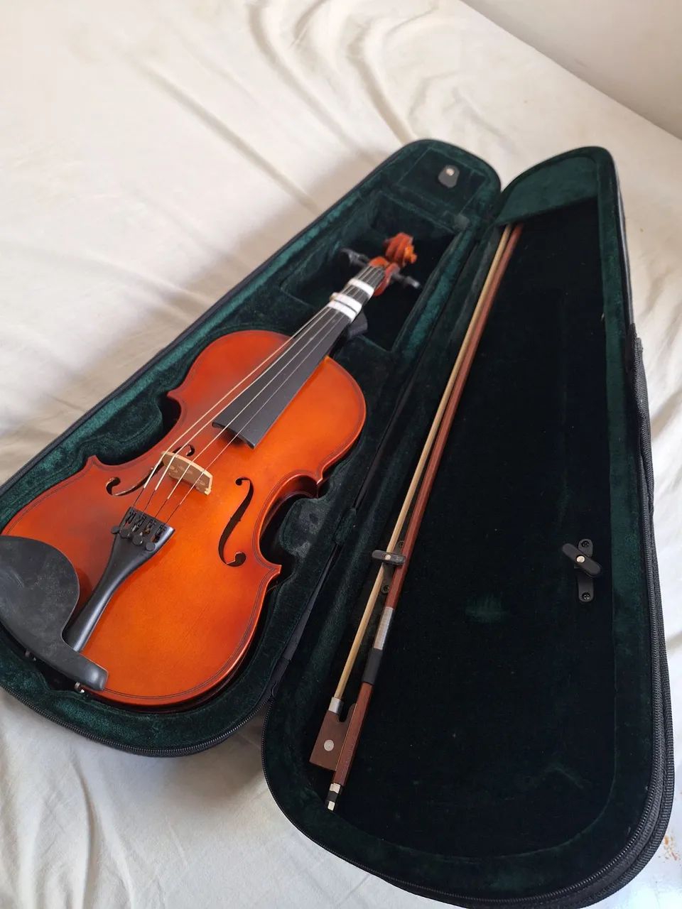 Violino
